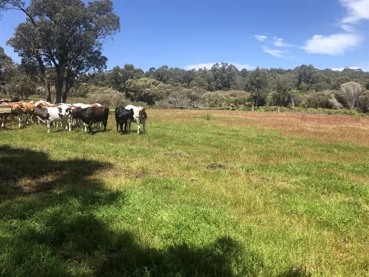 Fifth view of Homely rural property listing, "Sweetberry" Riverway Road, Northcliffe WA 6262
