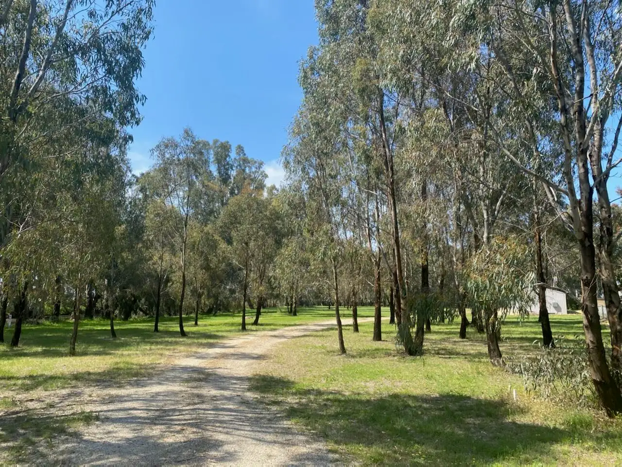 Main view of Homely rural property listing, 136 Glenview Drive, Barham NSW 2732