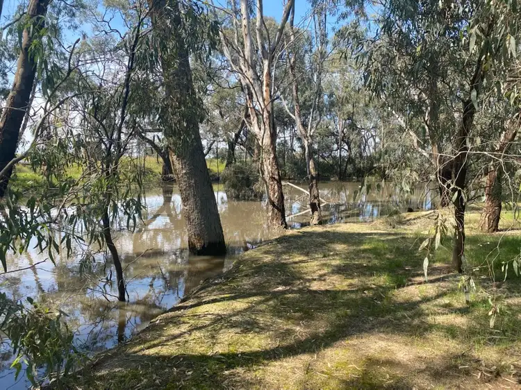 Second view of Homely rural property listing, 136 Glenview Drive, Barham NSW 2732