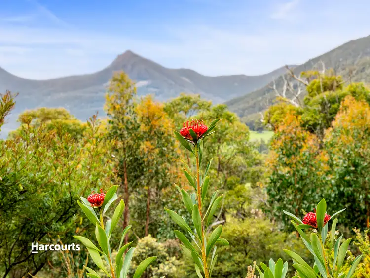 Fifth view of Homely house listing, 193 Misty Hill Road, Mountain River TAS 7109