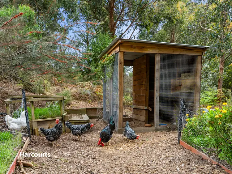 Sixth view of Homely house listing, 193 Misty Hill Road, Mountain River TAS 7109