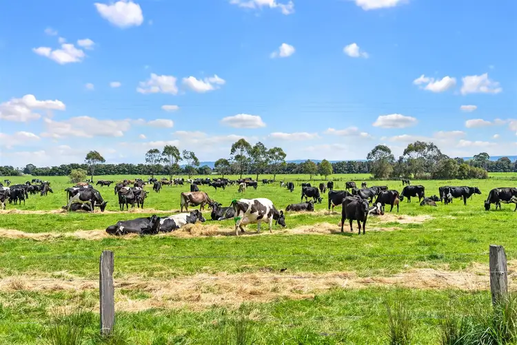 Fifth view of Homely rural property listing, 380 Bassetts Lane, Glengarry VIC 3854