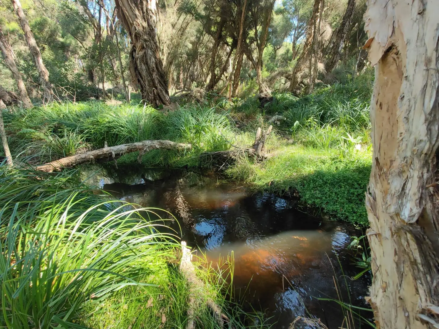 Main view of Homely land listing, . End of Lefroy Street, Gingin WA 6503