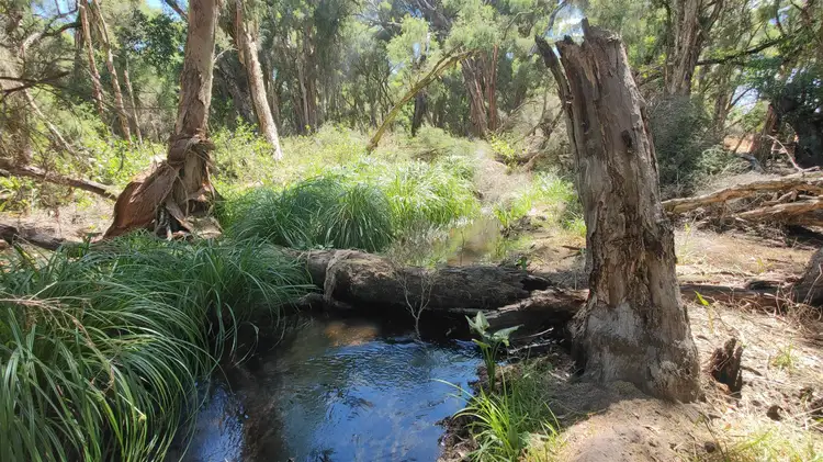 Fourth view of Homely land listing, . End of Lefroy Street, Gingin WA 6503