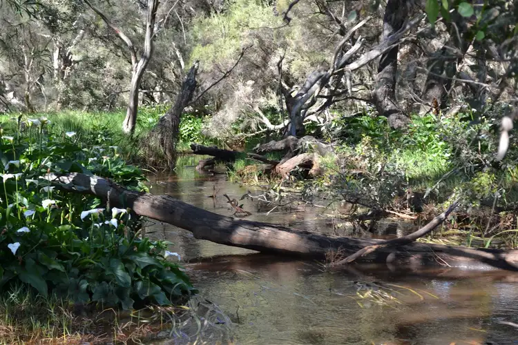 Sixth view of Homely land listing, . End of Lefroy Street, Gingin WA 6503