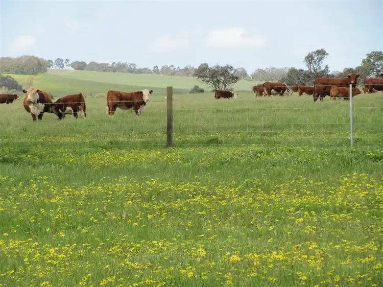 Seventh view of Homely land listing, . End of Lefroy Street, Gingin WA 6503