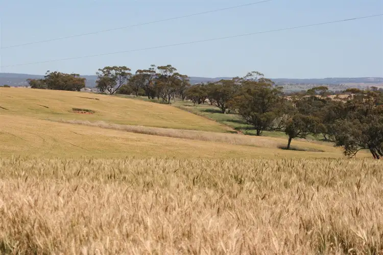 Third view of Homely rural property listing, . Boramin & Mulukine Road, Grass Valley WA 6403