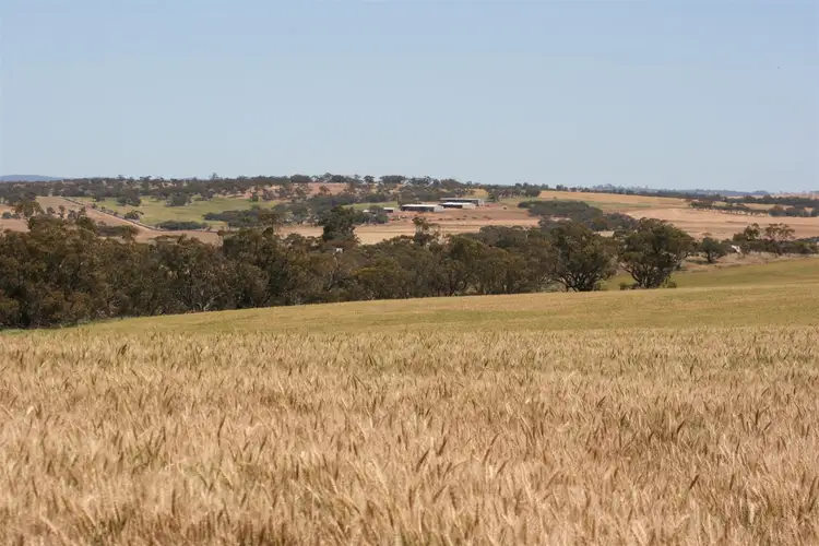 Fourth view of Homely rural property listing, . Boramin & Mulukine Road, Grass Valley WA 6403