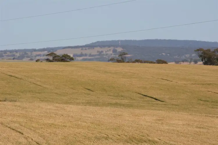 Fifth view of Homely rural property listing, . Boramin & Mulukine Road, Grass Valley WA 6403