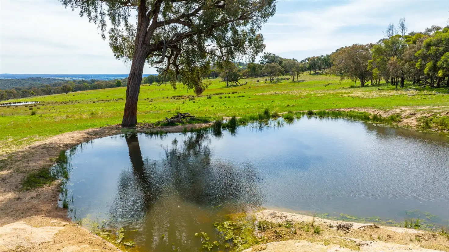 Main view of Homely rural property listing, Springardo Sanderson Road, Springhurst VIC 3682
