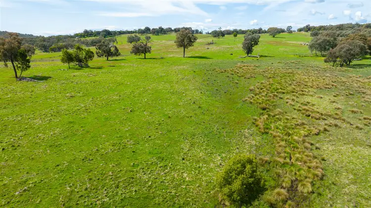 Second view of Homely rural property listing, Springardo Sanderson Road, Springhurst VIC 3682