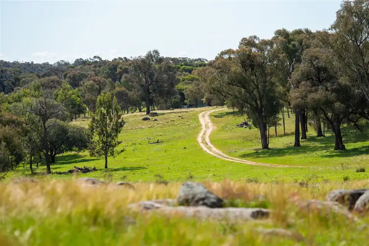 Third view of Homely rural property listing, Springardo Sanderson Road, Springhurst VIC 3682