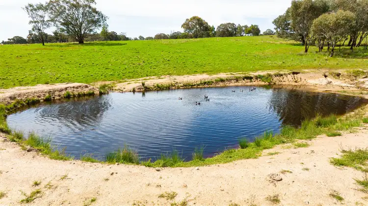 Fifth view of Homely rural property listing, Springardo Sanderson Road, Springhurst VIC 3682