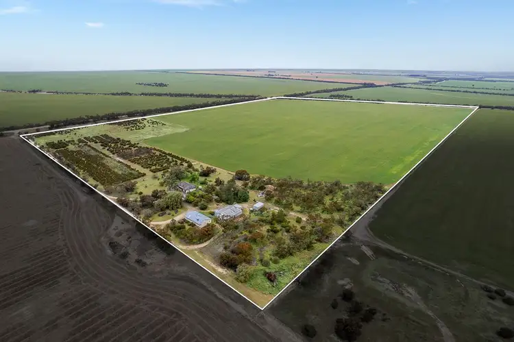Fourth view of Homely rural property listing, 766 Bews South Road, Lameroo SA 5302