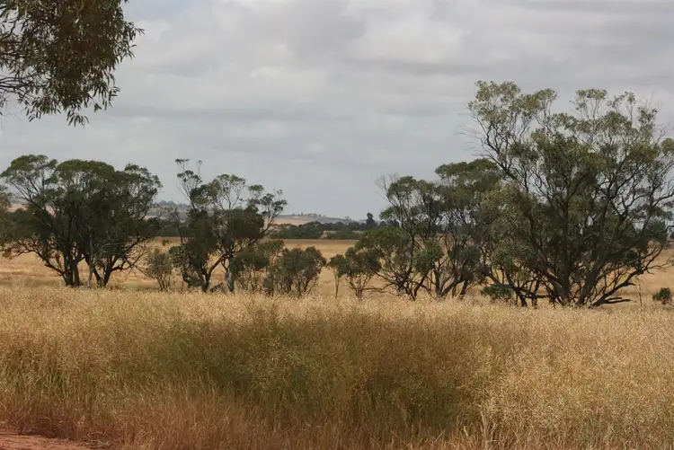 Second view of Homely rural property listing, . Madews, Jennacubbine WA 6401