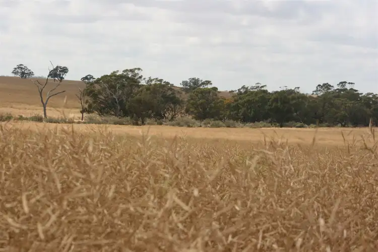 Third view of Homely rural property listing, . Madews, Jennacubbine WA 6401