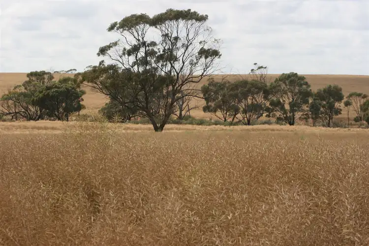 Fourth view of Homely rural property listing, . Madews, Jennacubbine WA 6401