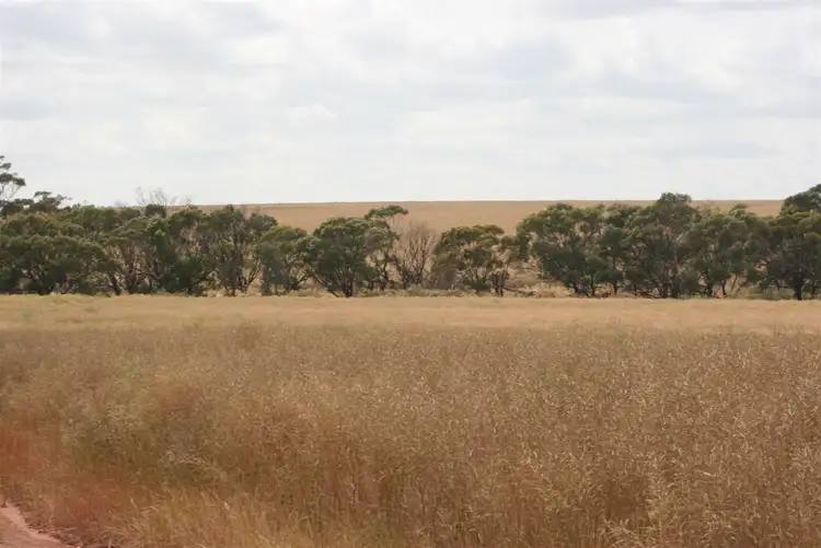 Fifth view of Homely rural property listing, . Madews, Jennacubbine WA 6401