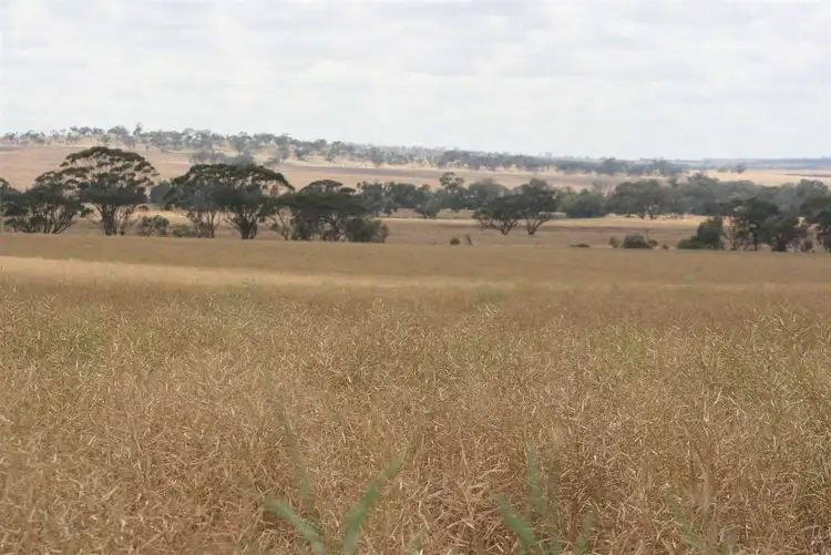 Sixth view of Homely rural property listing, . Madews, Jennacubbine WA 6401