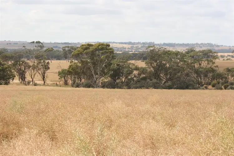 Seventh view of Homely rural property listing, . Madews, Jennacubbine WA 6401