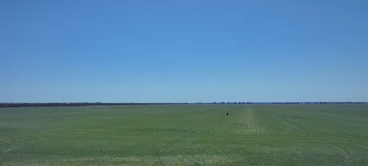 Fourth view of Homely rural property listing, 1436 Yates Road, Pingrup WA 6343