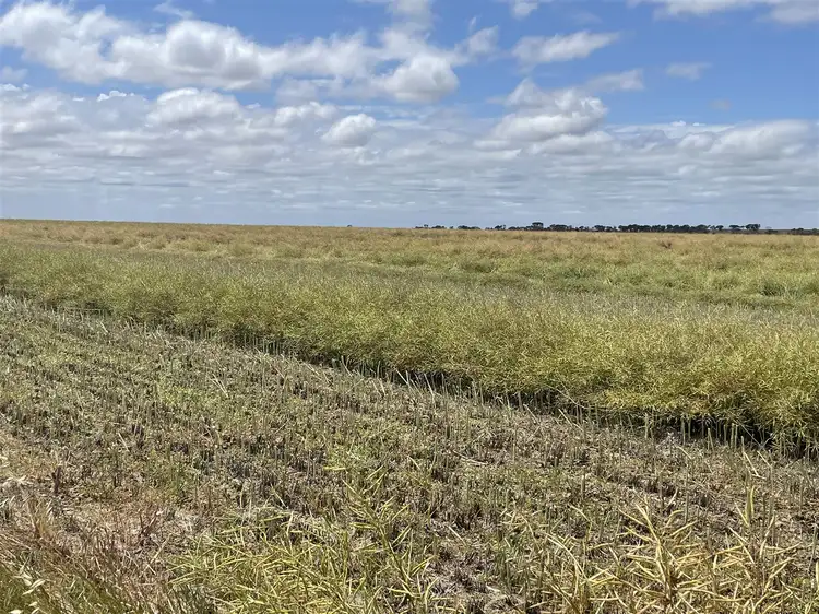 Fifth view of Homely rural property listing, 1436 Yates Road, Pingrup WA 6343