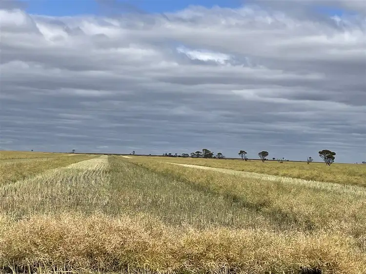 Sixth view of Homely rural property listing, 1436 Yates Road, Pingrup WA 6343