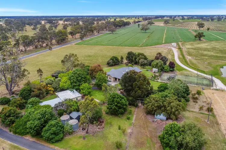 Third view of Homely rural property listing, 113 Cannon Ball Hill Road, Mundulla SA 5270
