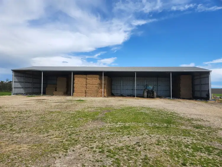 Fifth view of Homely rural property listing, 113 Cannon Ball Hill Road, Mundulla SA 5270