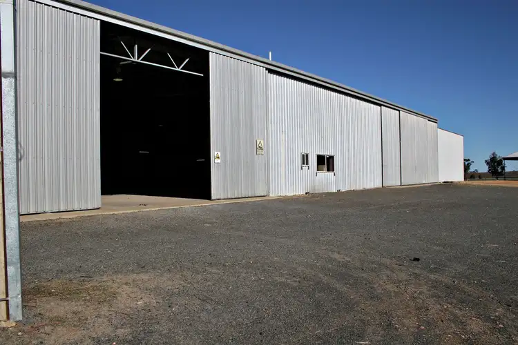 Sixth view of Homely rural property listing, 113 Cannon Ball Hill Road, Mundulla SA 5270