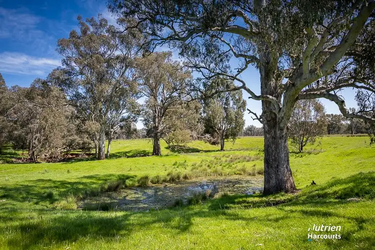 CA17C Gunns Lane, Benalla VIC 3672