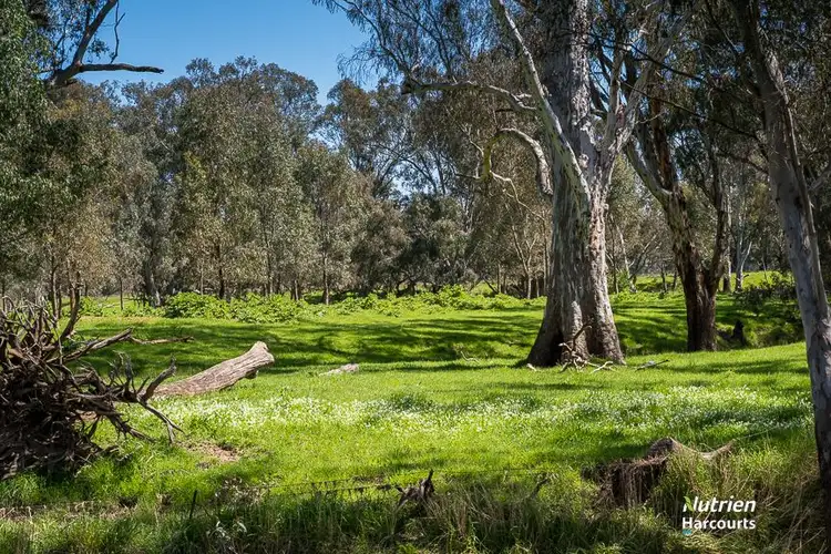 Seventh view of Homely rural property listing, CA17C Gunns Lane, Benalla VIC 3672