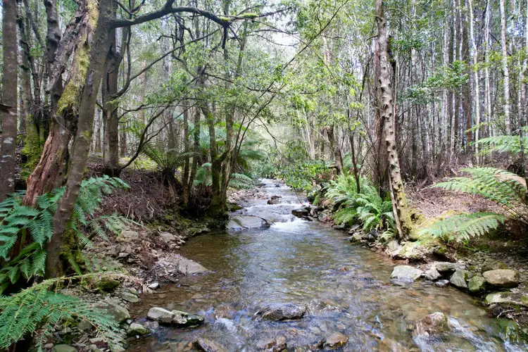 Second view of Homely rural property listing, Lot 9/318 Wiiteena Road, Jackeys Marsh TAS 7304