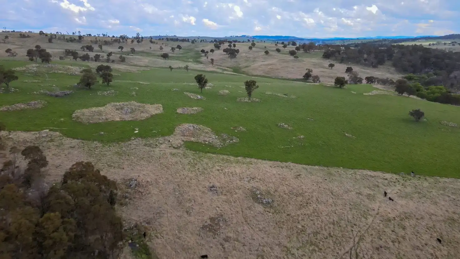 Main view of Homely rural property listing, The Downs/5140 Red Range Road, Red Range NSW 2370