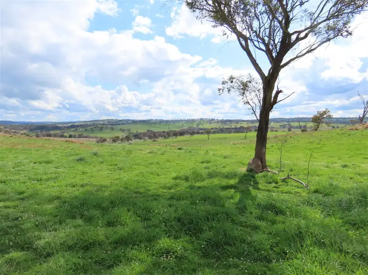 Third view of Homely rural property listing, The Downs/5140 Red Range Road, Red Range NSW 2370