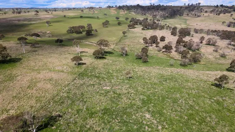 Fifth view of Homely rural property listing, The Downs/5140 Red Range Road, Red Range NSW 2370