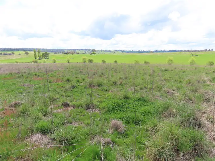 Sixth view of Homely rural property listing, The Downs/5140 Red Range Road, Red Range NSW 2370