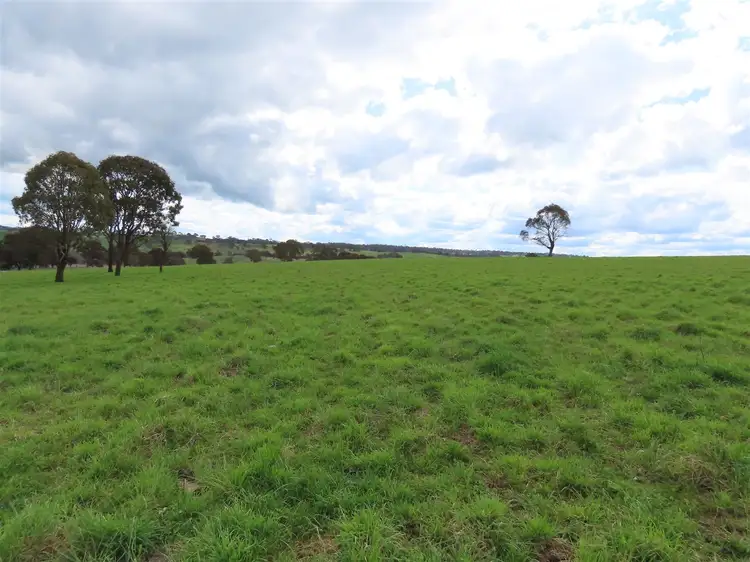 Seventh view of Homely rural property listing, The Downs/5140 Red Range Road, Red Range NSW 2370