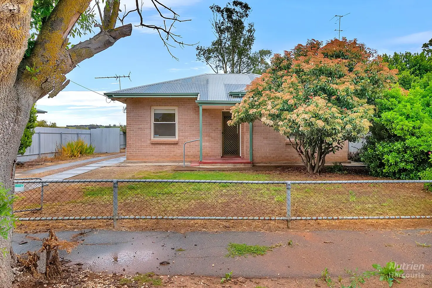 Main view of Homely house listing, 3 Murray Tce, Riverton SA 5412