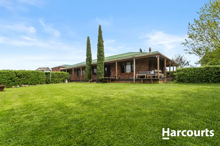 185 Austins Road, Scottsdale TAS 7260