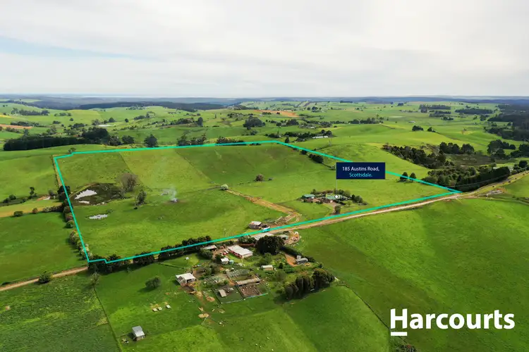 Second view of Homely house listing, 185 Austins Road, Scottsdale TAS 7260