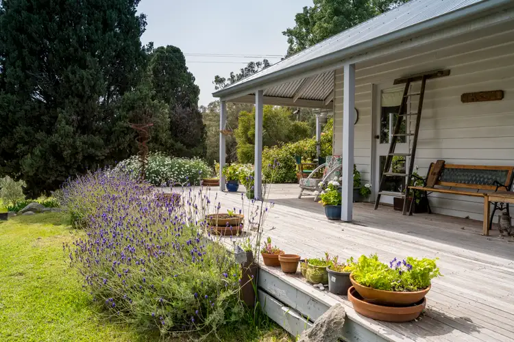 Fifth view of Homely rural property listing, 237 Long Gully Road, Violet Town VIC 3669