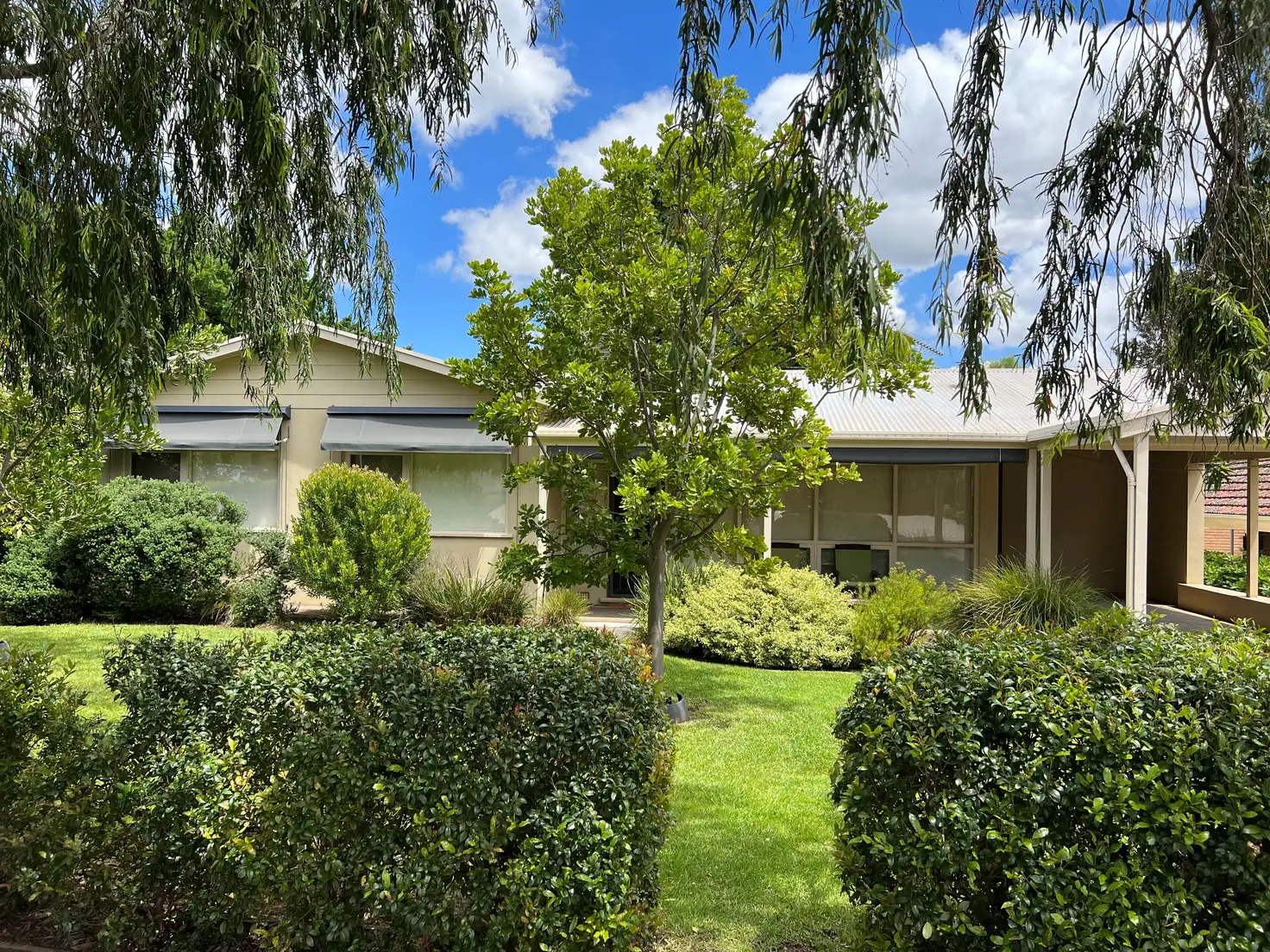 Main view of Homely house listing, 31 Pepper Street, Magill SA 5072