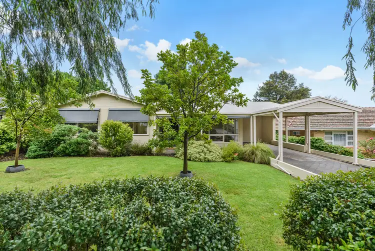 Second view of Homely house listing, 31 Pepper Street, Magill SA 5072