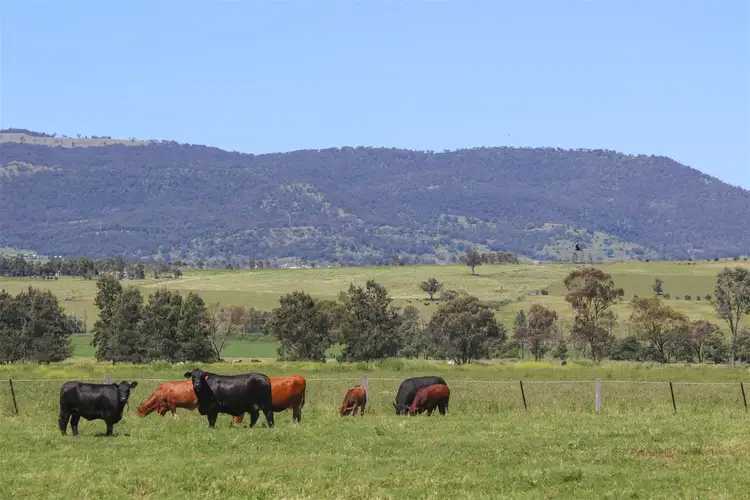 192 Yarrandi Road, Scone NSW 2337