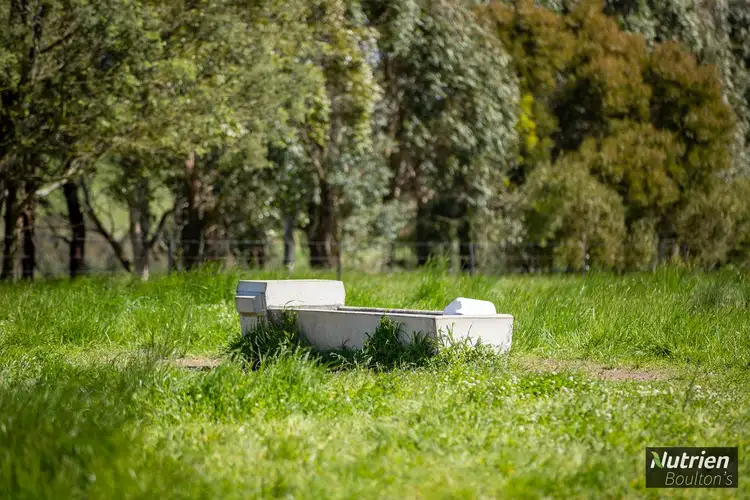 Fourth view of Homely rural property listing, Address available on request