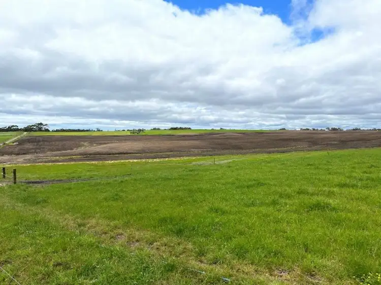 Fourth view of Homely rural property listing, 550 Mawbanna Road, Black River TAS 7321