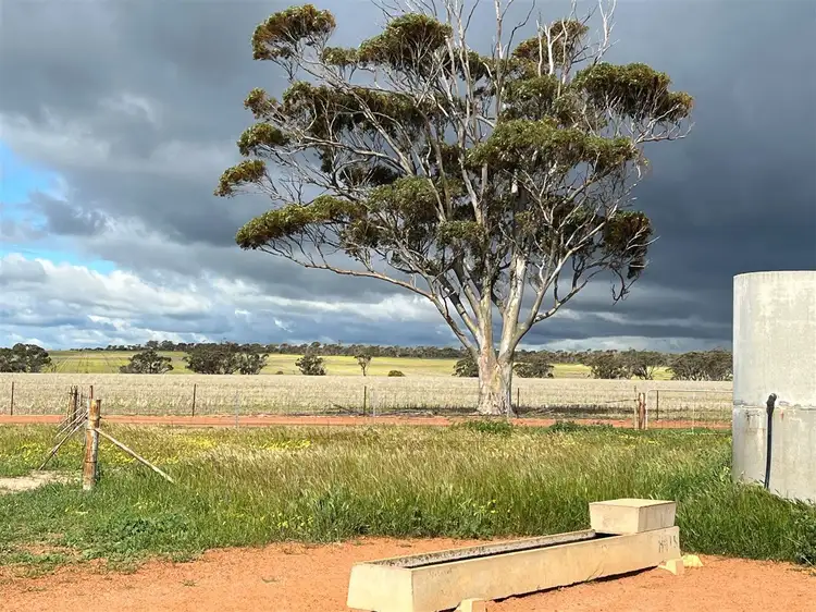 Main view of Homely rural property listing, . 'Gardens' Part, Shackleton WA 6386