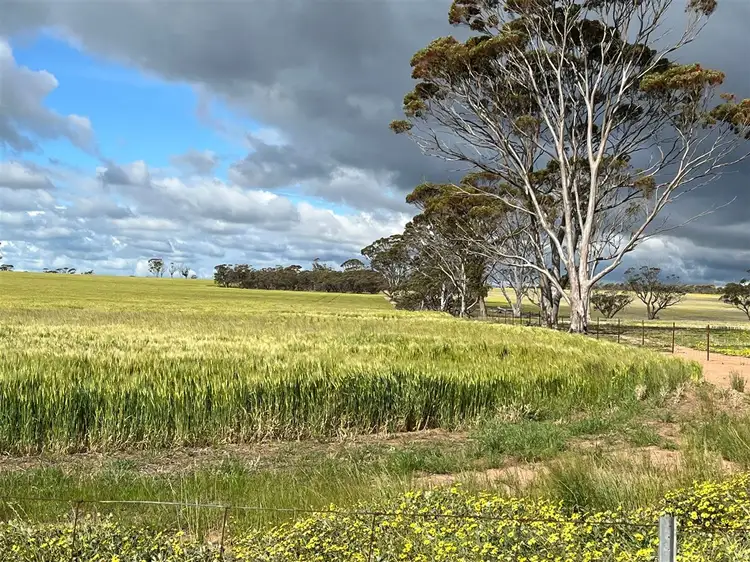 Second view of Homely rural property listing, . 'Gardens' Part, Shackleton WA 6386