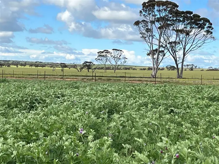 Third view of Homely rural property listing, . 'Gardens' Part, Shackleton WA 6386